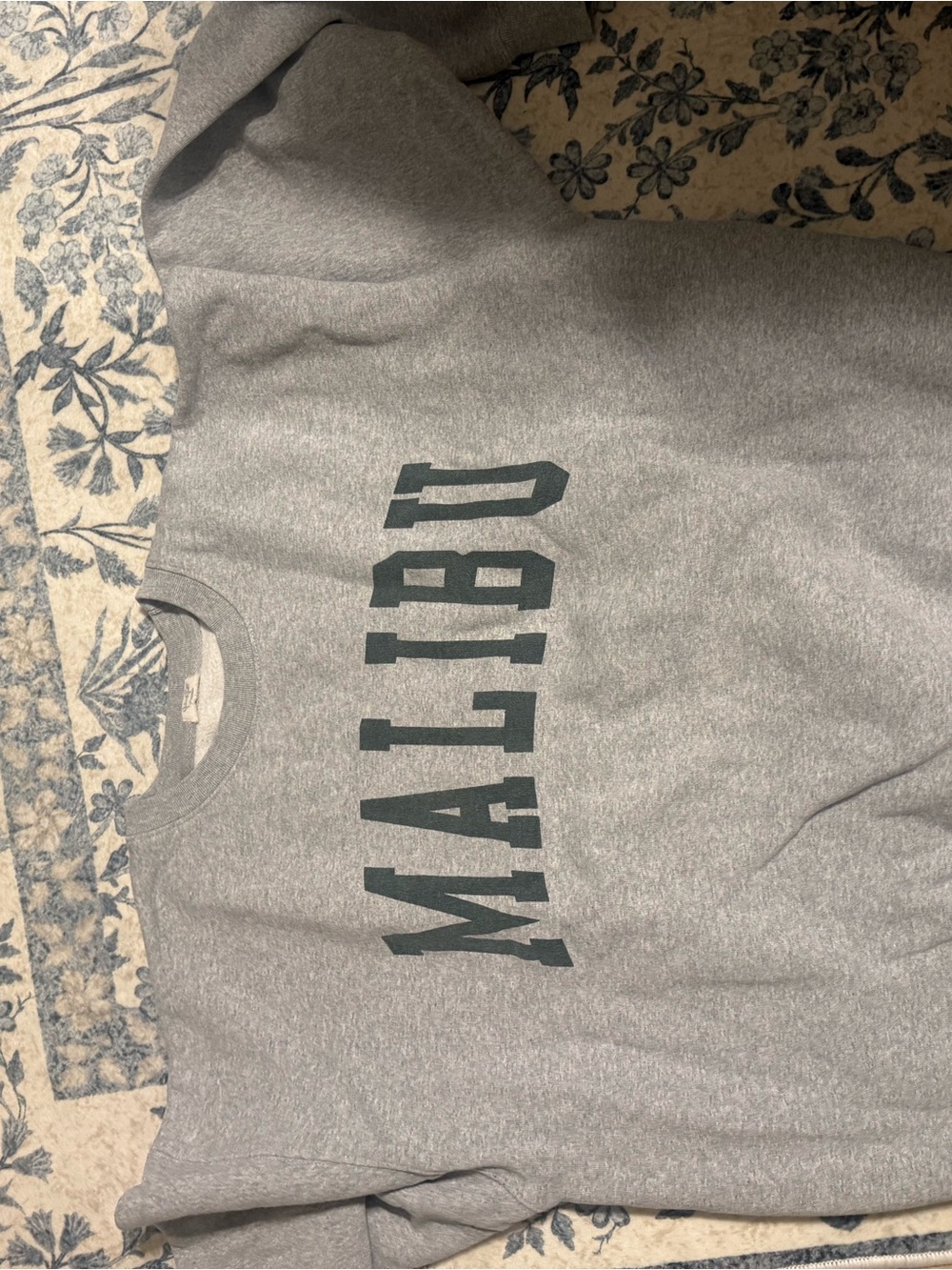Brandy Melville Gray 'Malibu' Crewneck Sweatshirt